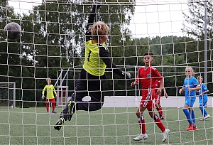 Dateiname=2022-2023_U11_Test_HSV-JSG_Elsli_11.JPG
Dateigröße=2129KB
Abmessungen: 3543x2410
hinzugefügt am: 06. Dezember 2022 2022-2023_U11_Test_HSV-JSG_Elsli_11.JPG