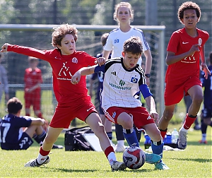 Dateiname=2023-2024_U11_LV_Buchholz_ETV_16.JPG
Dateigröße=1951KB
Abmessungen: 3543x2977
hinzugefügt am: 12. Mai 2024 2023-2024_U11_LV_Buchholz_ETV_16.JPG