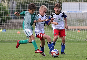 Dateiname=2023-2024_U11_Test_HSV-WerderBremen_005.JPG
Dateigröße=1619KB
Abmessungen: 3543x2464
hinzugefügt am: 17. September 2023 2023-2024_U11_Test_HSV-WerderBremen_005.JPG