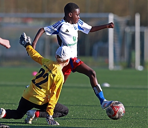 Dateiname=2024-2025_HSV-VW_11.JPG
Dateigröße=1533KB
Abmessungen: 3543x3052
hinzugefügt am: 04. April 2025 2024-2025_HSV-VW_11.JPG