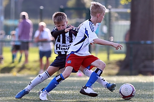 Dateiname=2024-2025_U11_HSV-Buchholz_03.JPG
Dateigröße=1531KB
Abmessungen: 3543x2362
hinzugefügt am: 28. August 2024 2024-2025_U11_HSV-Buchholz_03.JPG