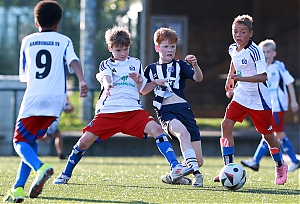 Dateiname=2024-2025_U11_HSV-Buchholz_10.JPG
Dateigröße=1607KB
Abmessungen: 3543x2415
hinzugefügt am: 28. August 2024 2024-2025_U11_HSV-Buchholz_10.JPG