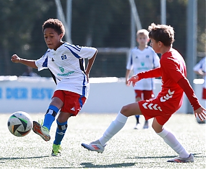 Dateiname=2024-2025_U11_HSV-Norderstedt_01.JPG
Dateigröße=1418KB
Abmessungen: 3543x2915
hinzugefügt am: 05. Oktober 2024 2024-2025_U11_HSV-Norderstedt_01.JPG